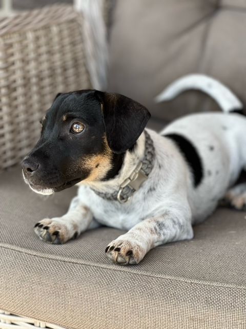 Armbandje Paracord - Afbeelding 18