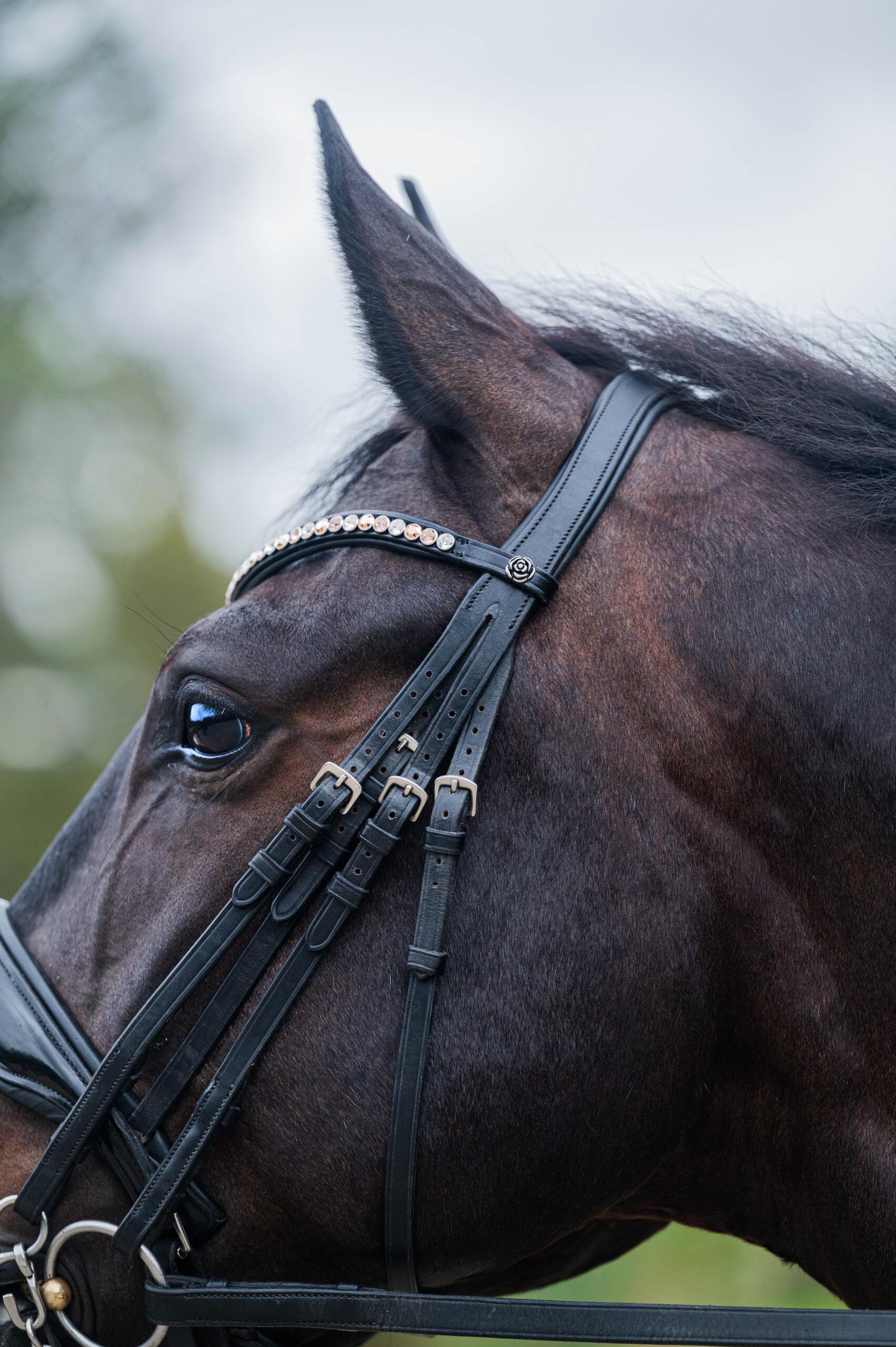 Frontriem Classic High End crystals L - Afbeelding 5