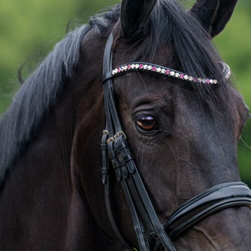 Frontriem Classic High End crystals L lak