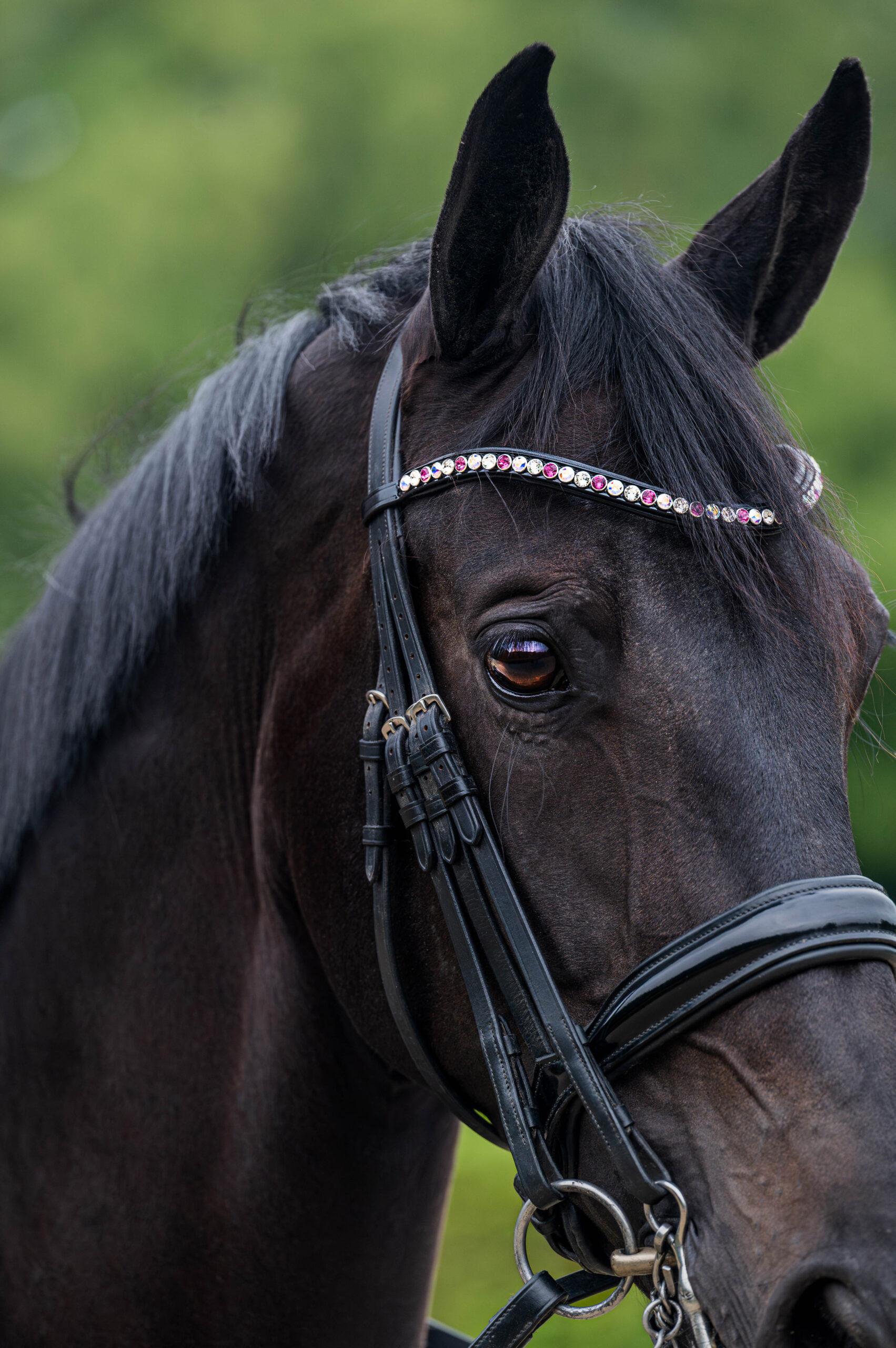 Frontriem Classic High End crystals L - Afbeelding 3