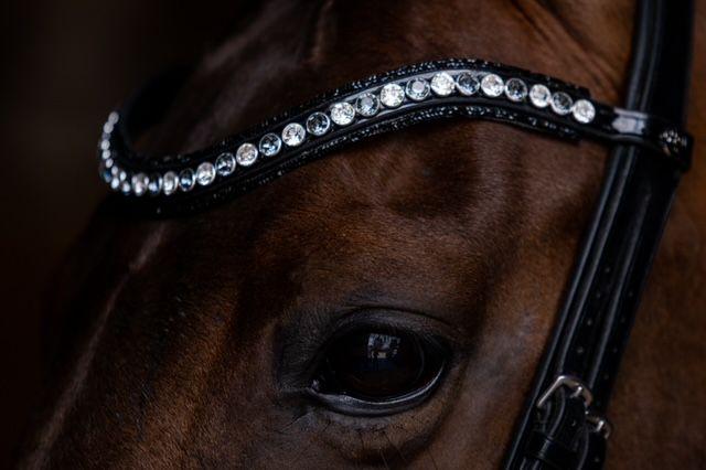 **NIEUWE KLEUREN ROCKS** Frontriem Classic CrystalRock High End - Afbeelding 12