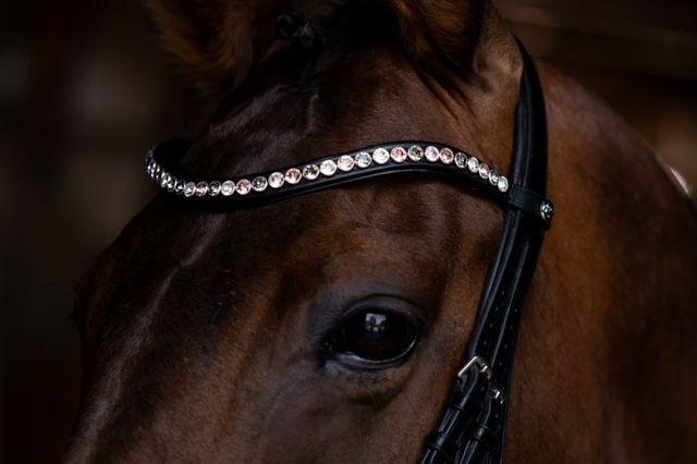 Frontriem Classic High End crystals XL lak - Afbeelding 9