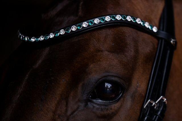 Frontriem Classic High End crystals L - Afbeelding 18