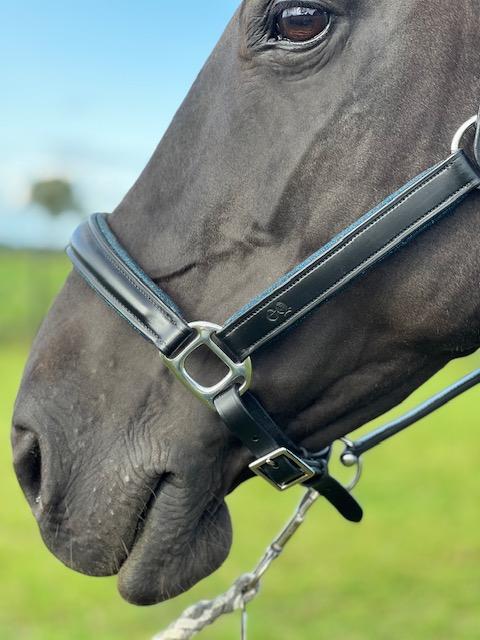 EQRoos Halster BlueGlitter - Afbeelding 4