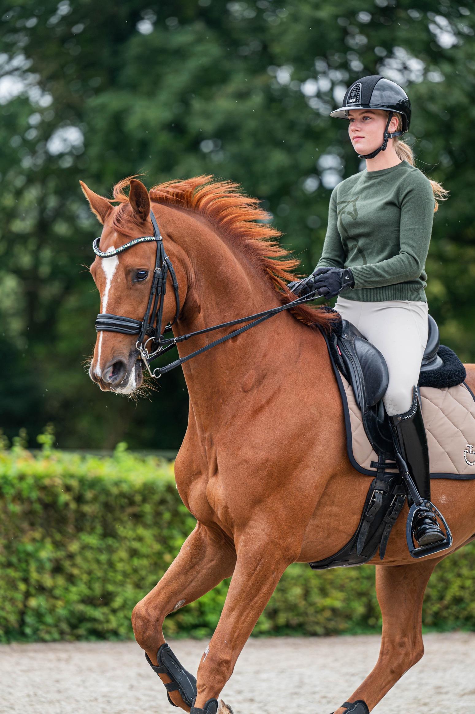 *NIEUW* Fager Charlie trui - Afbeelding 4