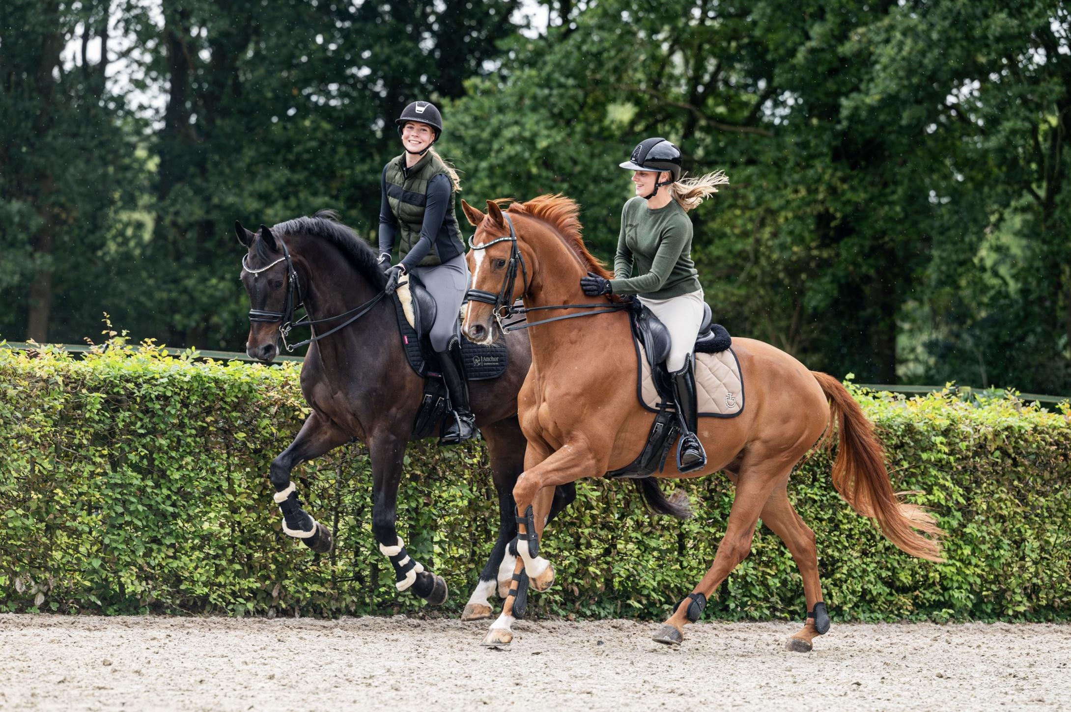 *NIEUW* Fager Charlie trui - Afbeelding 6