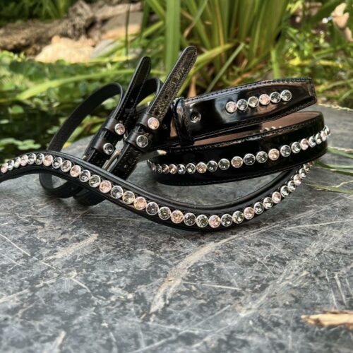 SPARKLE SET Frontriem & Riem type 2 & Sporenbandjes