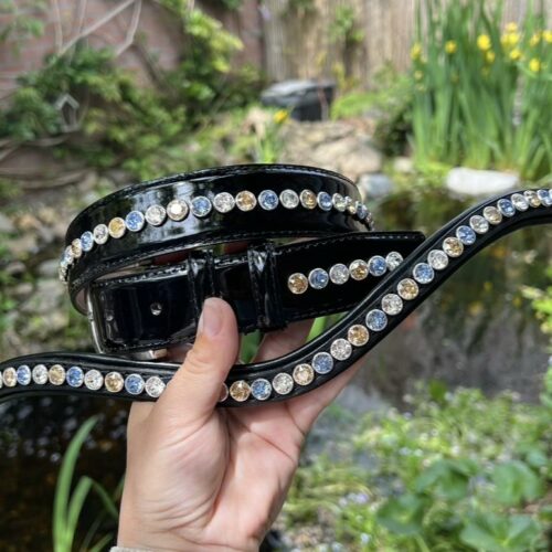 SPARKLE SET Frontriem & Riem type 2