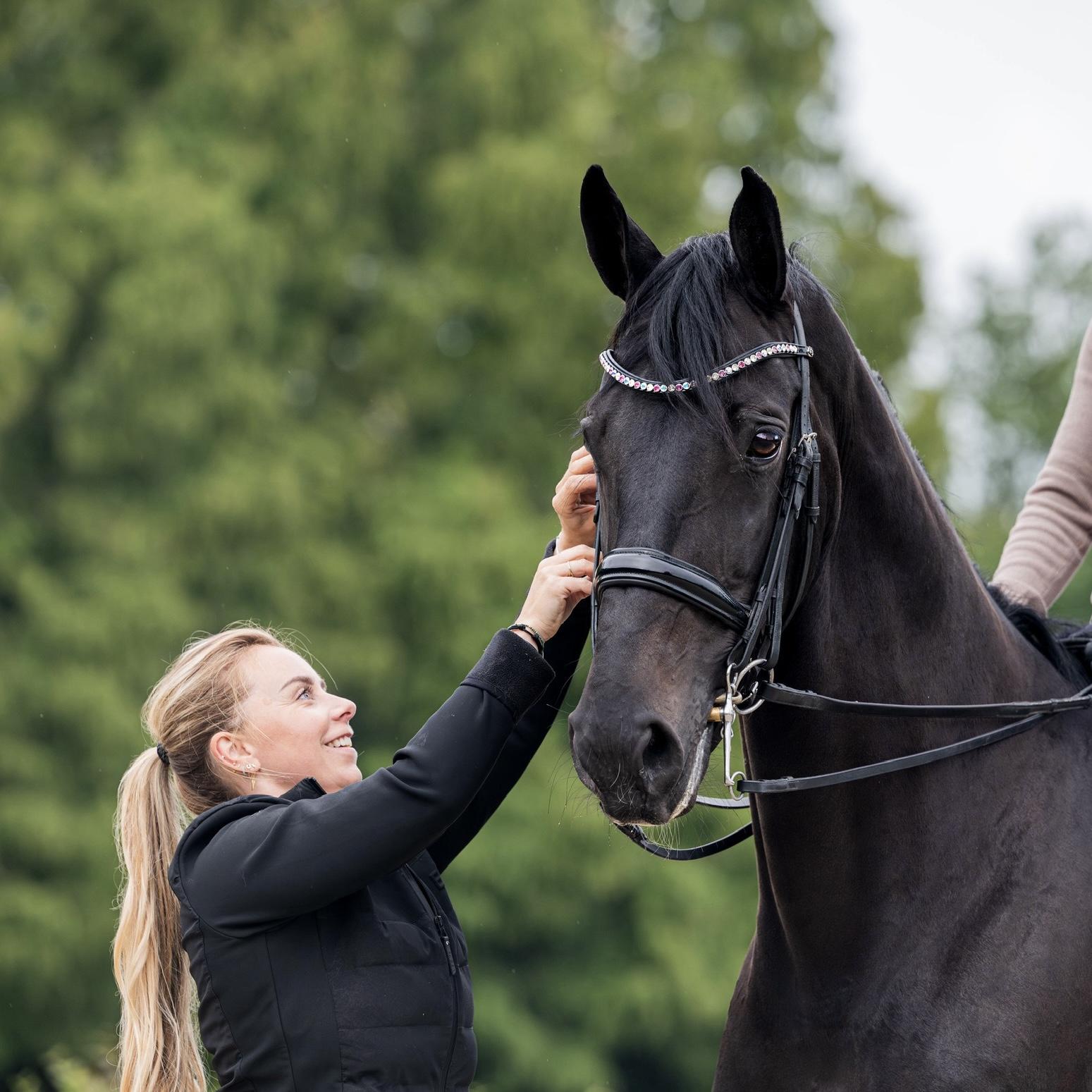 E-Book | 'Through the eyes of: Roos Rokven - Bit & Bridle specialist' ENGLISH VERSION